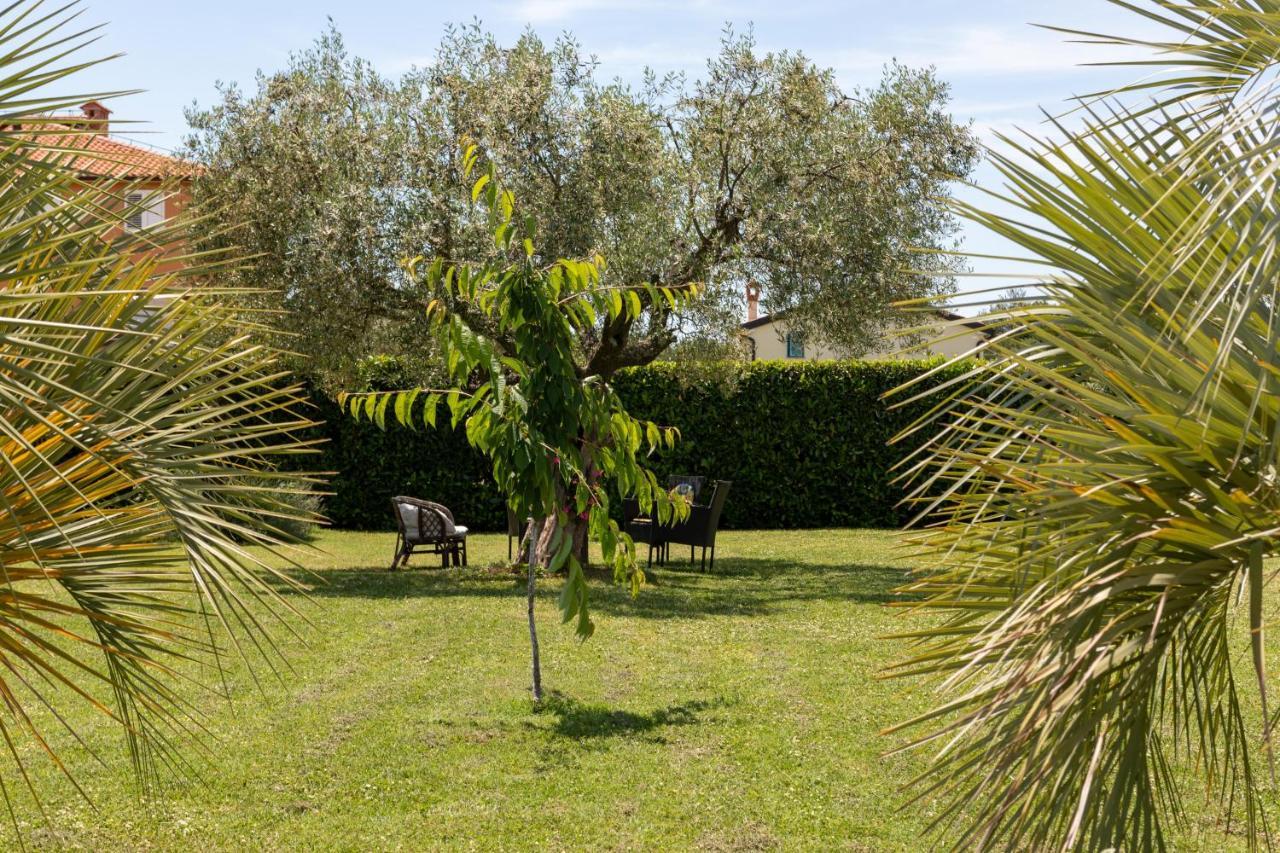 B&B Villa Oasa 1 Ρόβινι Εξωτερικό φωτογραφία